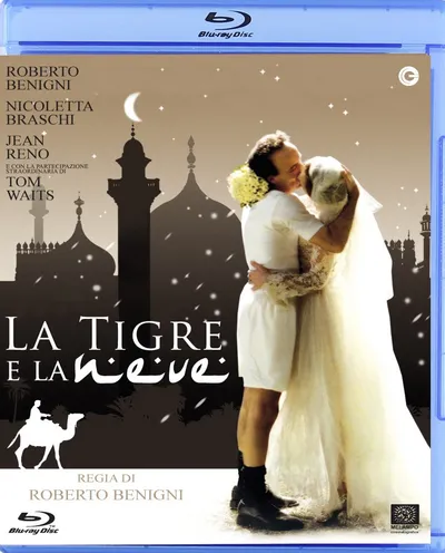Póster de El tigre y la nieve