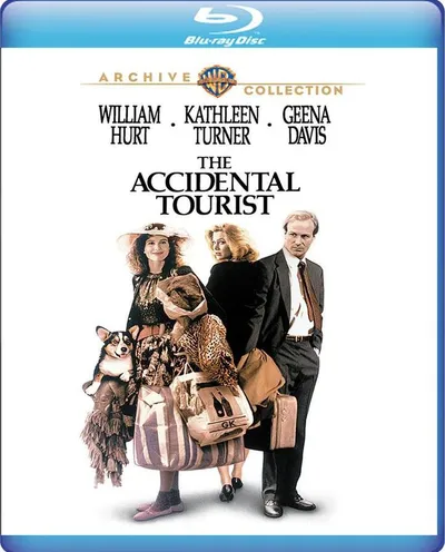 Póster de El turista accidental