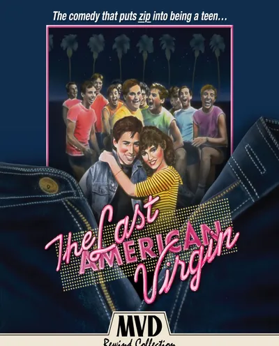 Póster de El último americano virgen