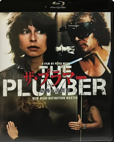 Póster de El visitante (The Plumber)