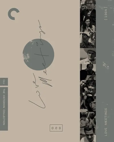 Póster de Encuesta sobre el amor