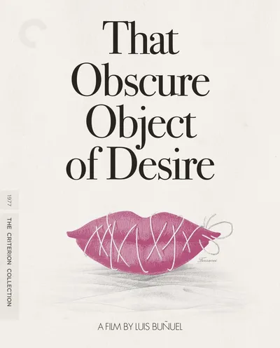 Póster de Ese oscuro objeto del deseo