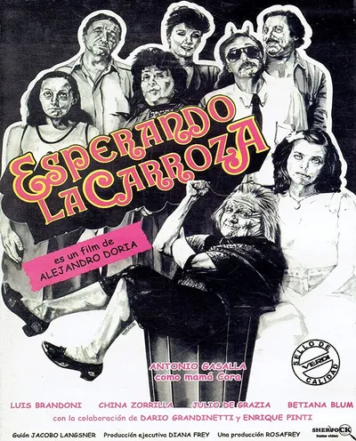 Póster de Esperando la carroza