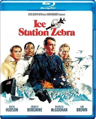 Póster de Estación polar Cebra