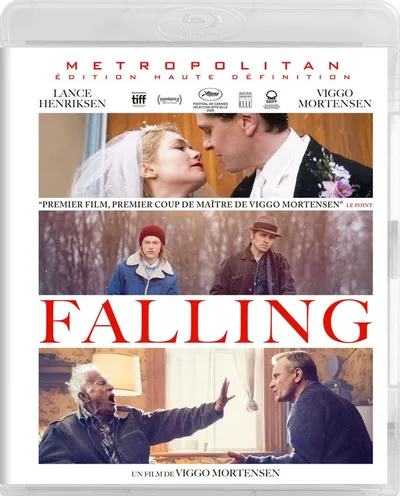 Póster de Falling