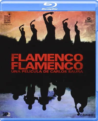 Póster de Flamenco, Flamenco