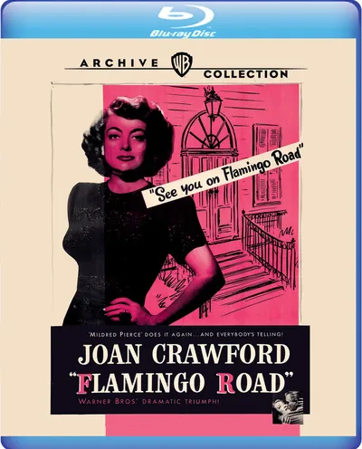 Póster de Flamingo Road