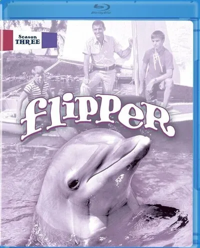 Póster de Flipper