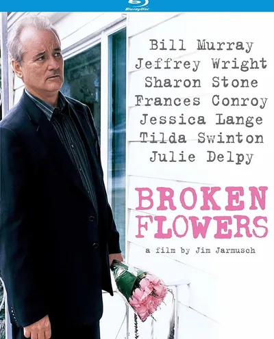 Póster de Flores rotas