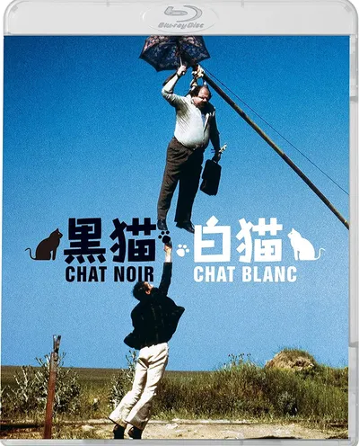 Póster de Gato negro, gato blanco