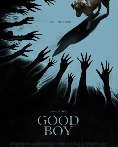 Póster de Good Boy