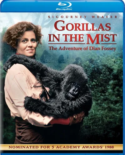 Póster de Gorilas en la niebla