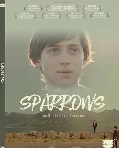 Póster de Gorriones