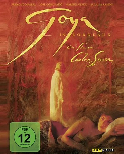 Póster de Goya en Burdeos