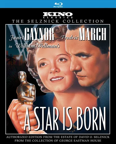 Póster de Ha nacido una estrella