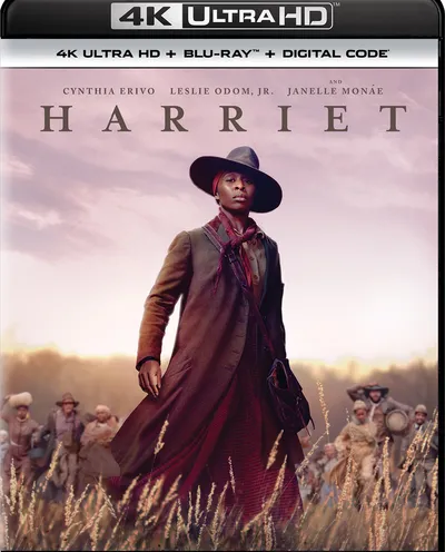 Póster de Harriet, en busca de la libertad
