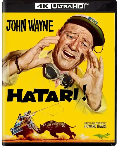 Póster de Hatari