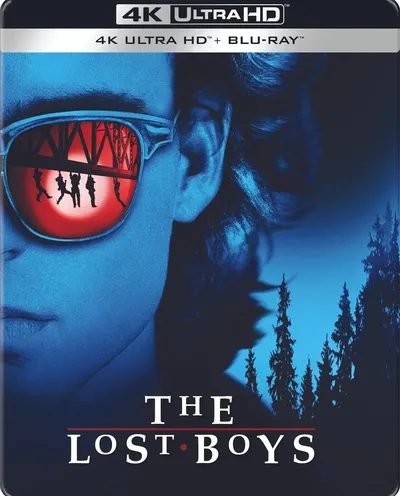 Póster de Jóvenes ocultos