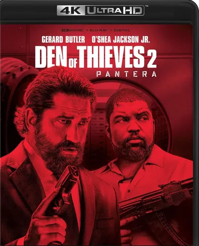 Póster de Juego de ladrones: Pantera