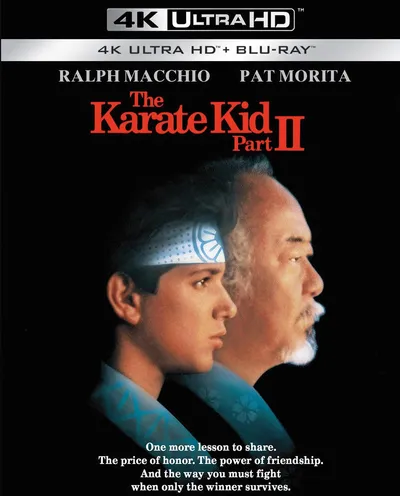 Póster de Karate Kid II: la historia continúa