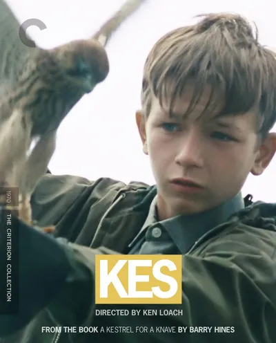Póster de Kes