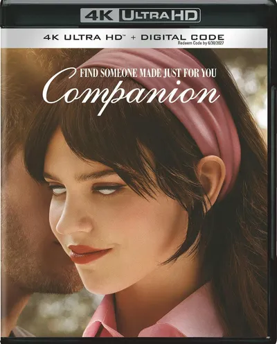 Póster de La acompañante