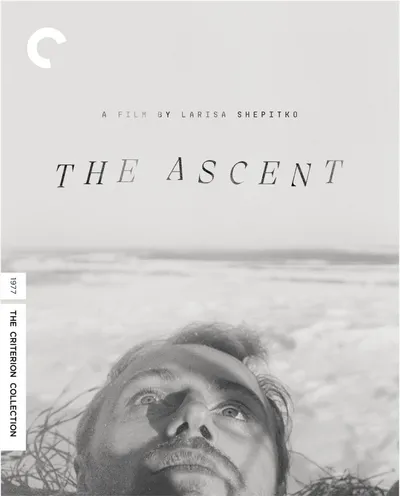 Póster de La ascensión