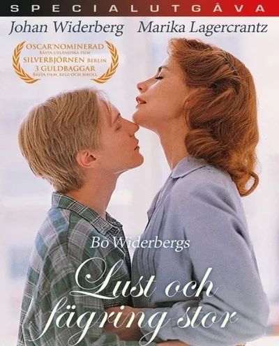 Póster de La belleza de las cosas