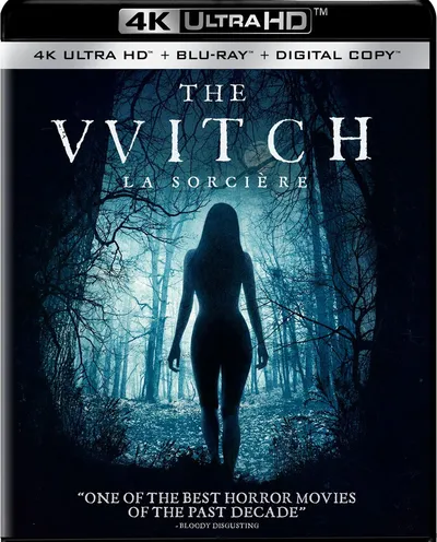 Póster de La bruja
