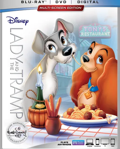 Póster de La dama y el vagabundo