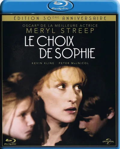 Póster de La decisión de Sophie