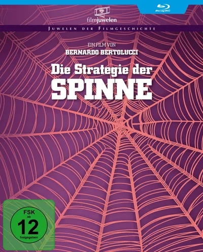 Póster de La estrategia de la araña