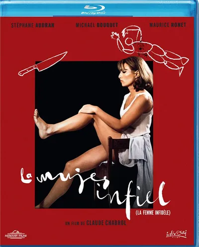 Póster de La mujer infiel
