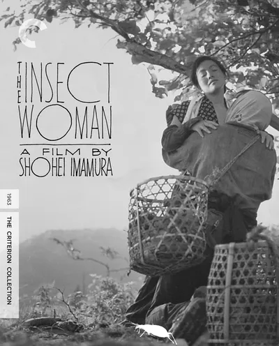 Póster de La mujer insecto