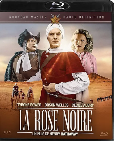 Póster de La rosa negra