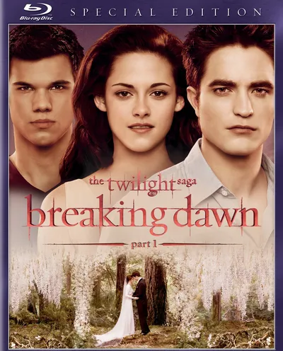 Póster de La saga Crepúsculo: Amanecer - Parte 1