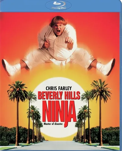 Póster de La salchicha peleona