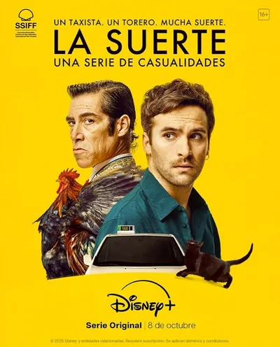 Póster de La suerte: Una serie de casualidades