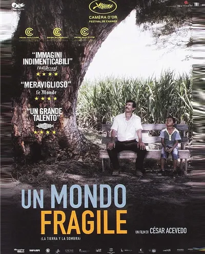 Póster de La tierra y la sombra