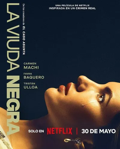 Póster de La viuda negra