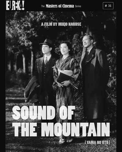Póster de La voz de la montaña