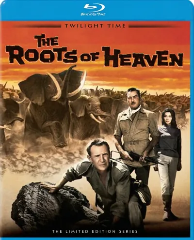 Póster de Las raíces del cielo