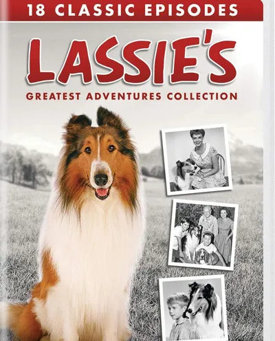 Póster de Lassie