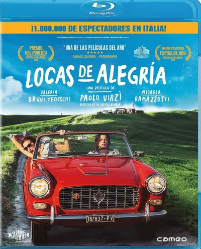 Póster de Locas de alegría