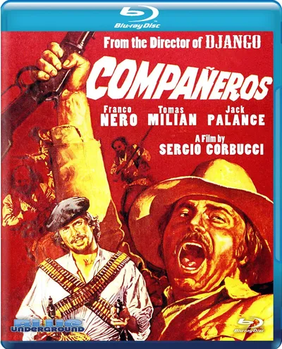 Póster de Los compañeros