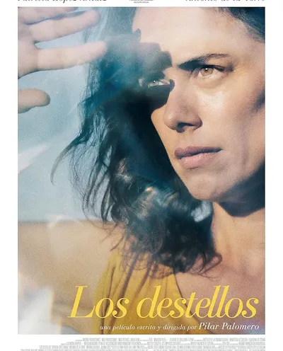 Póster de Los destellos