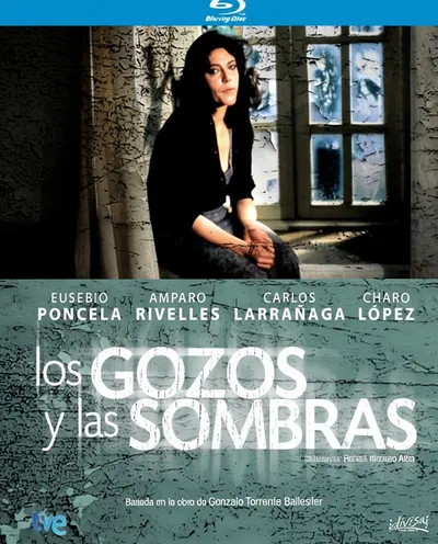 Póster de Los gozos y las sombras