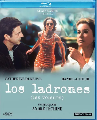 Póster de Los ladrones