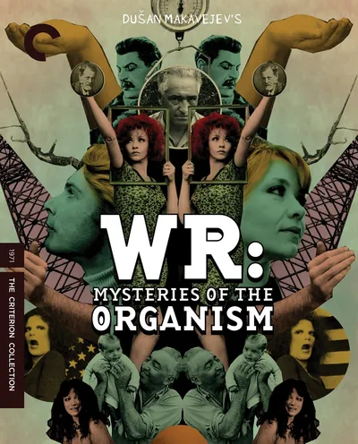 Póster de Los misterios del organismo