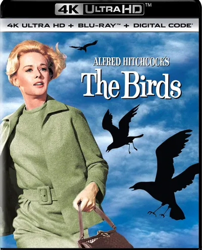 Póster de Los pájaros